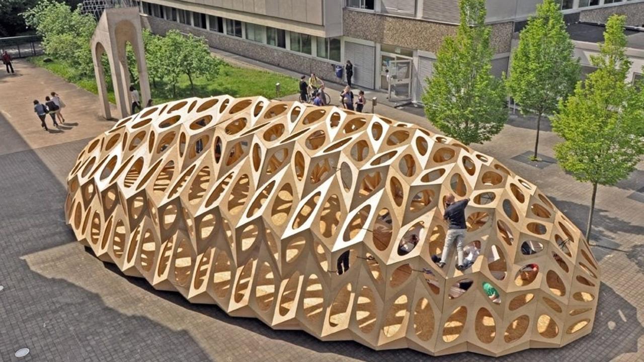 An aerial view of a large, organic-shaped wooden structure with intricate, open patterns, resembling a giant seed pod or cocoon, situated on a paved outdoor area with trees and buildings nearby.