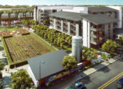Co-Creating Spaces: Community-Driven Design Flourishes