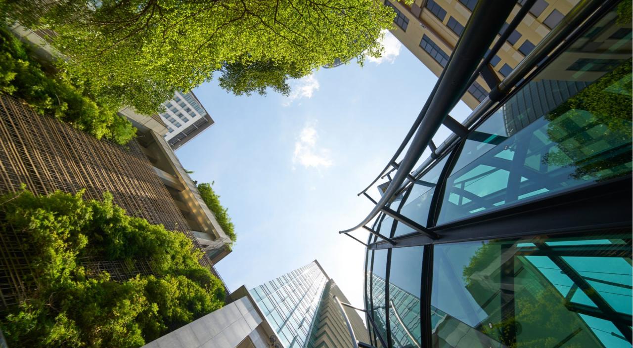 An architectural perspective showcasing a mix of glass and textured building facades, with vibrant green foliage providing a natural contrast.