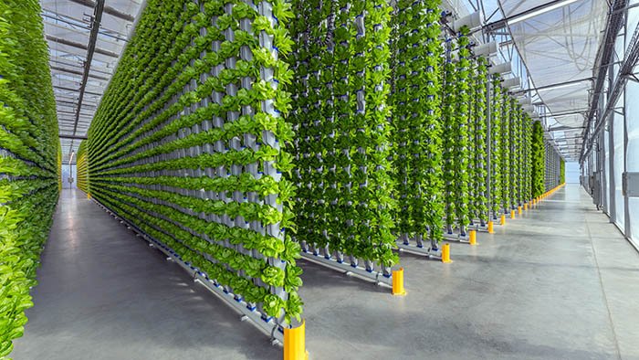 Modern agricultural space utilizing vertical growth systems.